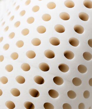 LATEXPEDIC 10-Inch mattress