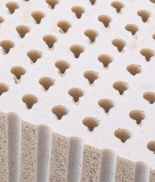 LATEXPEDIC 7-Inch mattress